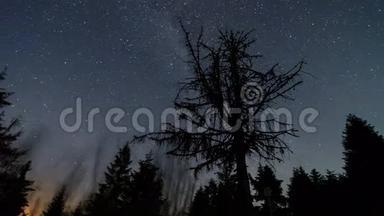 银河系在死树上移动的星空时间流逝。 天文星空之夜.. 4K